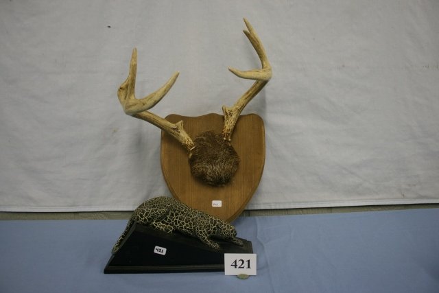 Wooden Panther: 10” carved Wooden Panther painted Mottled Black & Mounted 8 Point Antlers