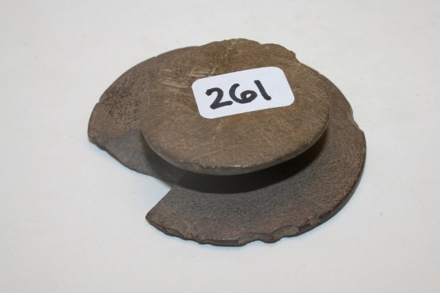 Ohio Adena Ear Spool: 2 3/8” Ohio Adena Ear Spool – some old damage – fine grained sandstone? Bennett C.O.A.