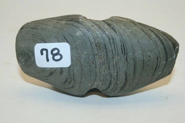 Banded Slate Winged Bannerstone: 3 3/8” Banded Slate Winged Bannerstone – old dings to both sides Three Generation of the Mathews Family from Clinton Co. Indiana