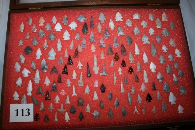 18” x 12” Wood Frame Display of over 100 Western Bird (1 of 3)