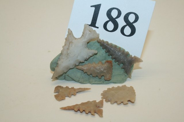 6 Highly Serrated Points (1 of 1)