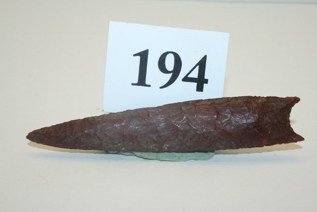 Paleo Point (1 of 1)