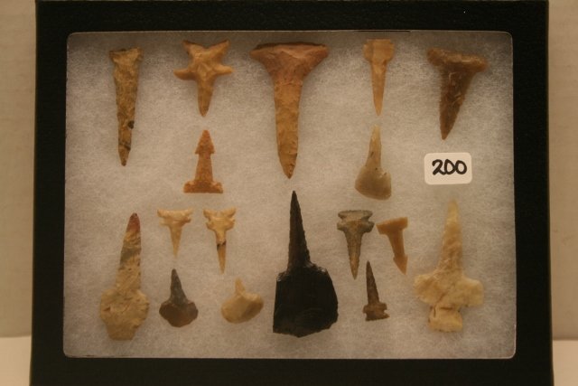 Group of 17 Assorted Drills (1 of 1)