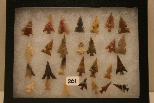 28 Fine Western Bird Points (1 of 1)