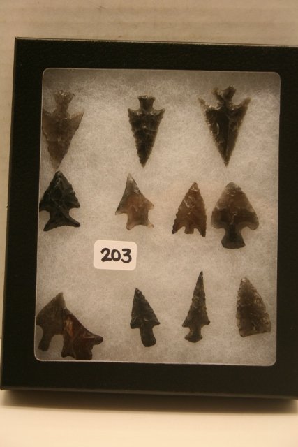 12 Obsidian Points (1 of 1)