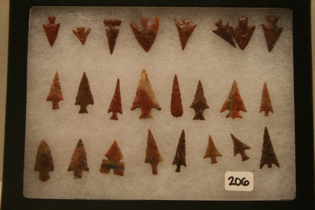 24 Chalcedony Western Bird Points (1 of 1)