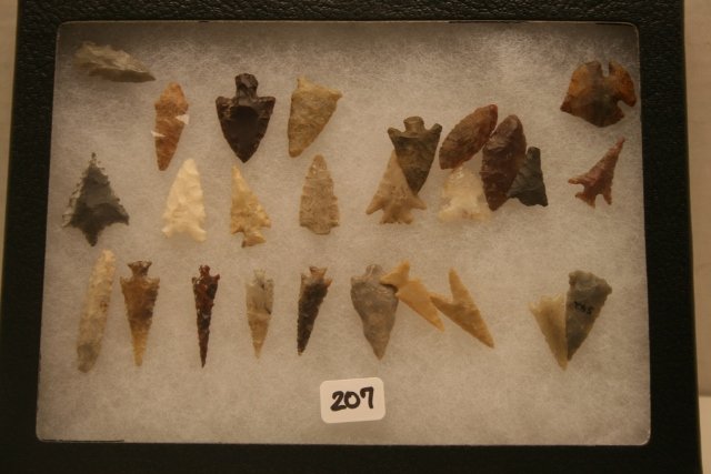 26 Western Bird Points (1 of 1)