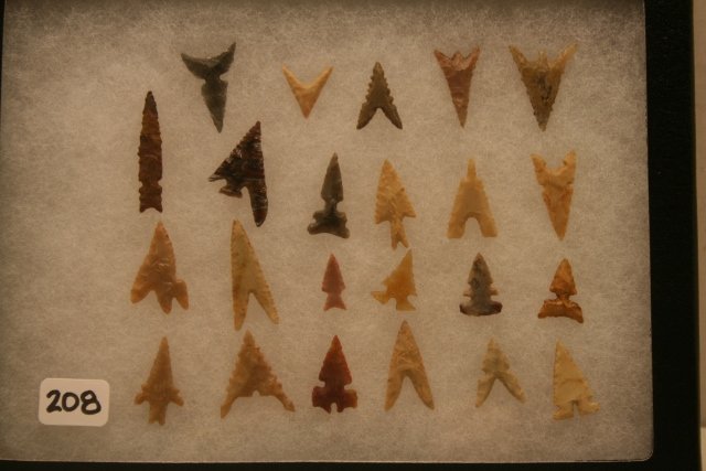 23 Western Bird Points (1 of 1)