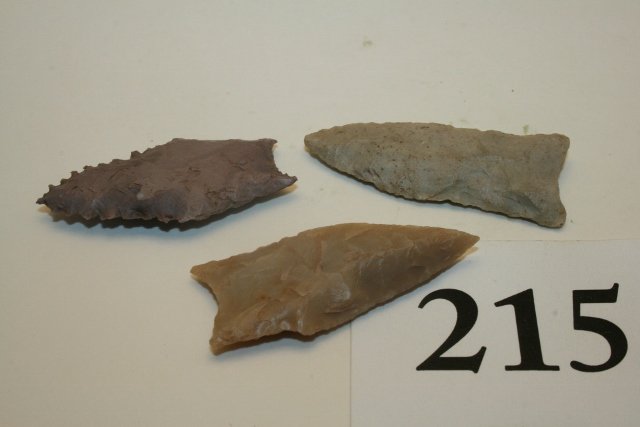 3 Paleo Points (1 of 1)