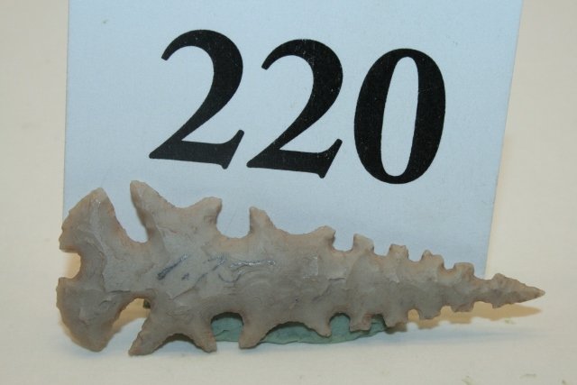 Lacey Eccentric Point (1 of 1)