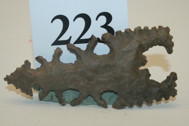 Lacey Eccentric (1 of 1)