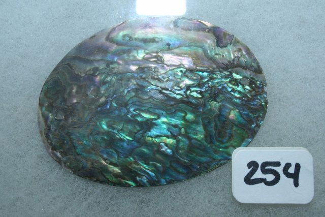 Iridescent Abalone Shell Gorget (1 of 1)
