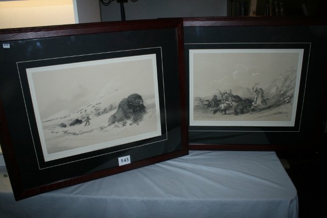 2 Framed Prints – Buffalos (1 of 3)