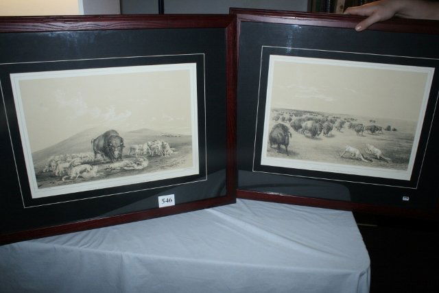2 Framed Prints Buffalo (1 of 3)