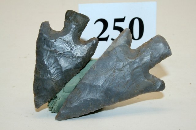 2 Buck Creek Points, Hornstone (1 of 1)