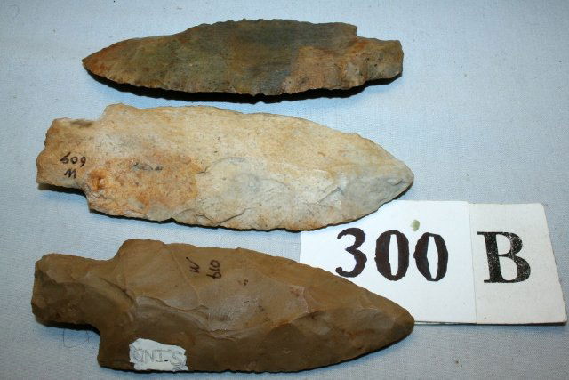 3 Large Stem Spears (1 of 1)