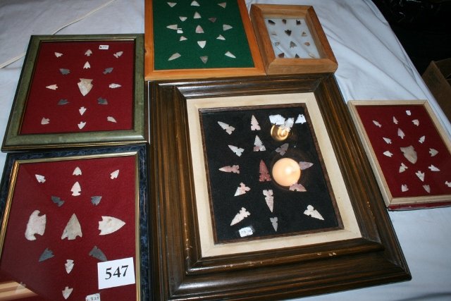 6 Frames of Western Bird Points (1 of 6)