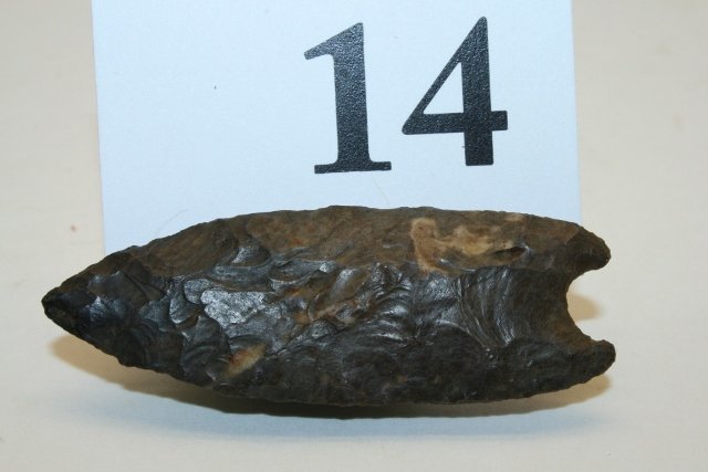 Dover Chert Paleo Wheeler Point (1 of 2)