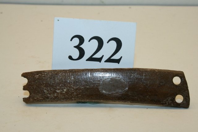 4” Fossilized Bone “Armor” Plate: 4” Fossilized Bone “Armor” Plate, Alaska, found by Marilyn Carter