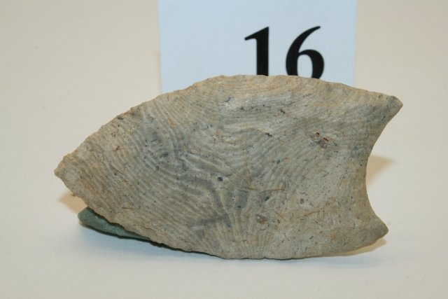 Paleo Fluted Point, Striped Chert (1 of 3)