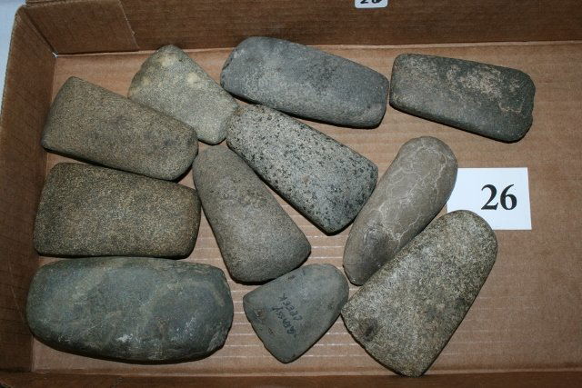 11 Stone Celts (1 of 1)