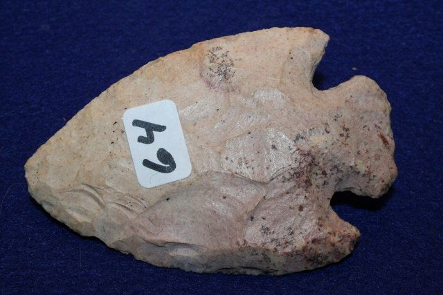 Burlington Chert Nethers Point (1 of 2)