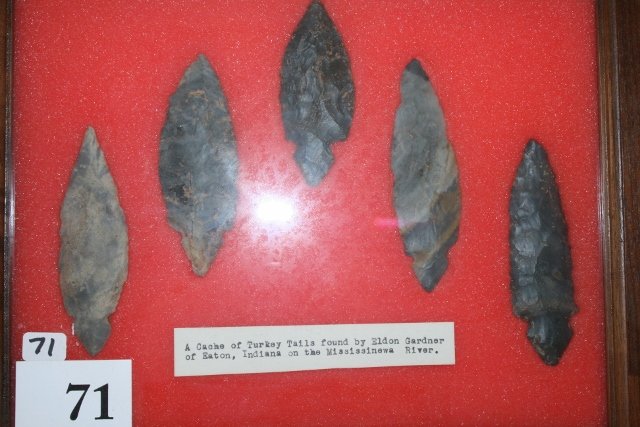 Cache of 5 Turkey Tail Points (1 of 3)