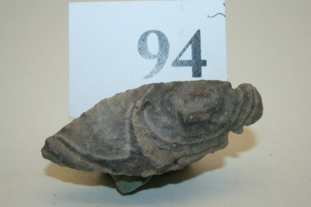 Turkey Tail Type Point (1 of 2)