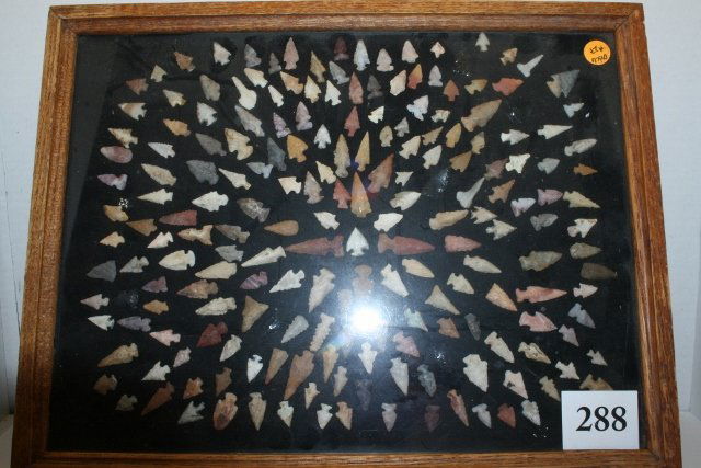 150 Western Bird Points (1 of 2)