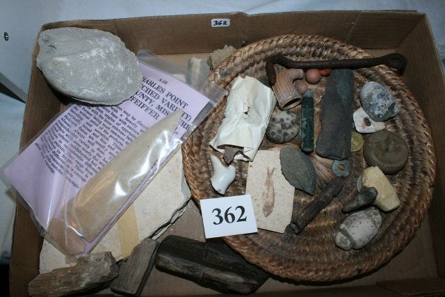 Fossils, Crude Plummet – Discoidal (1 of 2)