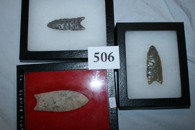 3 Paleo Points (1 of 1)