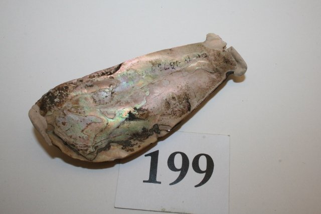 Abalone Whale Pendant: 4” Abalone Whale Pendant, Prehistoric Chumash, Minor Repair, excavated with encrustations, California