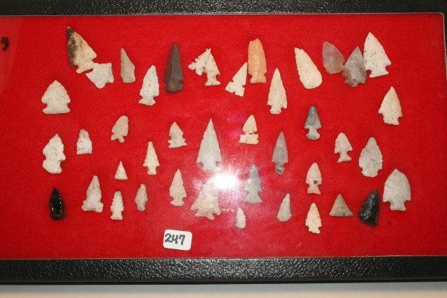 42 Bird Points,  Cahokia Points (1 of 1)