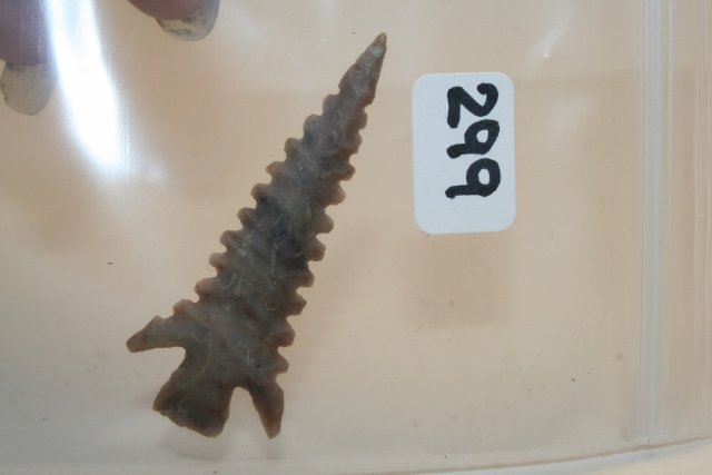 Serrated Western Gem Point (1 of 1)