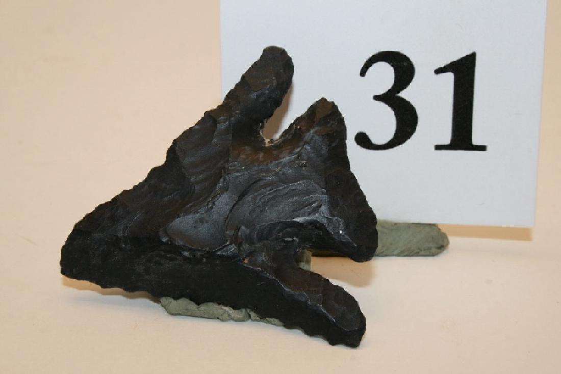 Pine Tree Diagonal Notch Bevel Point (1 of 1)