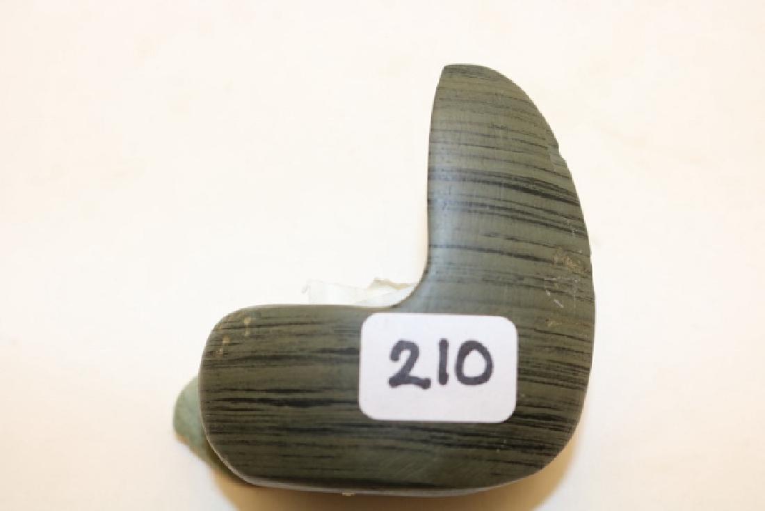 Banded Slate Geniculate (1 of 3)