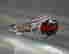 item-128172420=4