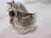item-128172530=4