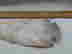 item-128172757=2