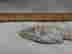 item-128172765=2