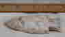 item-128172765=3