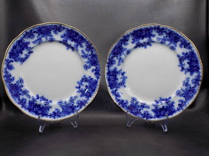 Beautiful pair of Flow Blue dinner plates: Beautiful pair of Flow Blue dinner plates. Marked on back England as shown in photos. Great quality and detail. 9 3/8 inches diameter