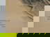 item-165498967=5