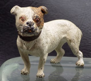 Neat vintage Vienna bronze cold painted dog. Great quality and detail