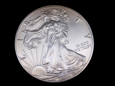 Uncirculated American Eagle 2020 in original box