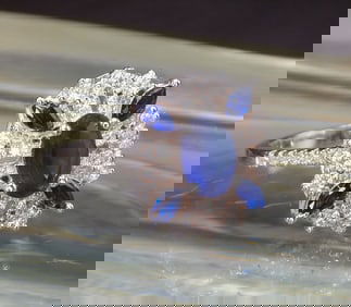 Beautiful 3 cwt blue sapphire and topaz sterling silver ring