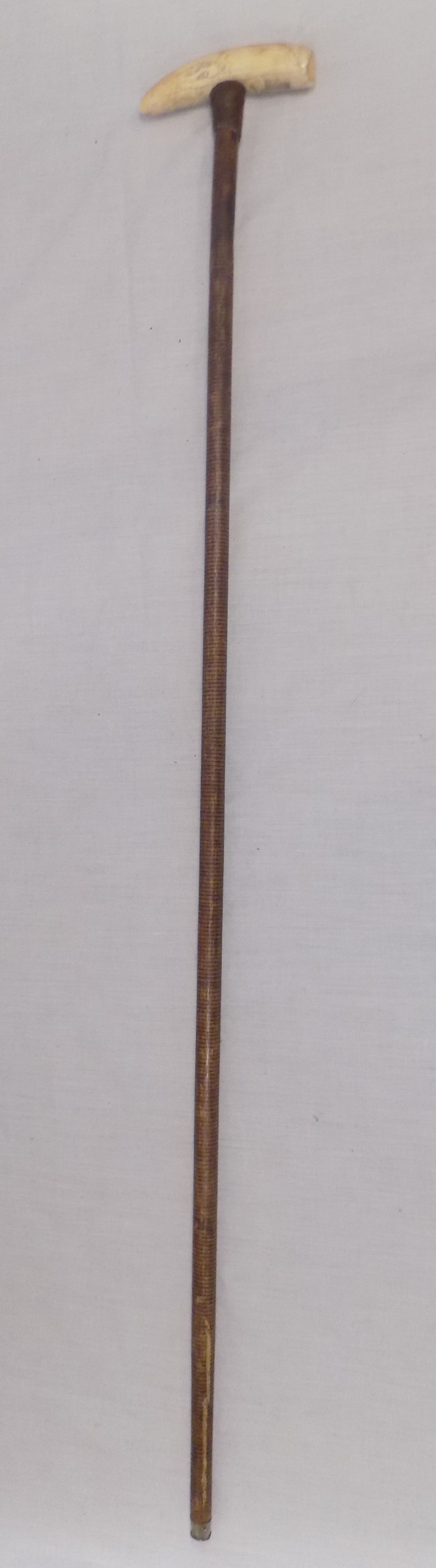 Unusual antique cane with scrimshaw seal: Unusual antique cane with scrimshaw seal. No shipping outside of United States. Cane is stenciled. Great quality and detail. In very good original as found condition. Please see photos. 33 ½ inch