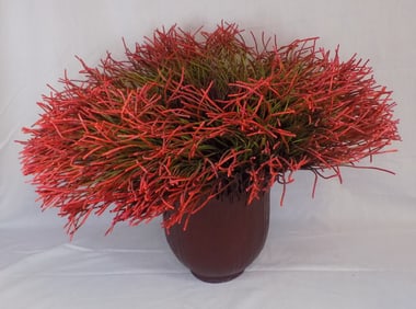 Beautiful art work signed Mary Merkel Hess fiber art vase.