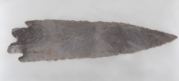 Native American Indian 7 ¼ inch arrowhead