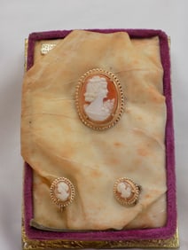 Beautiful vintage gold fill cameo broach and earrings